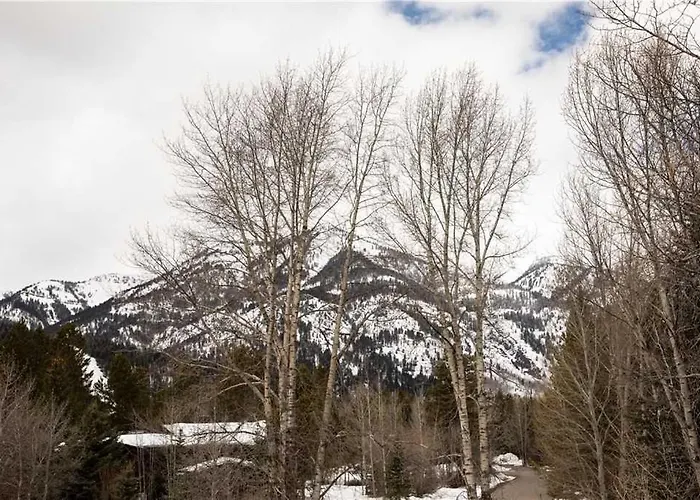 Apartment Rmr: Wheatgrass 2212 In The Aspenswilsonwy *
